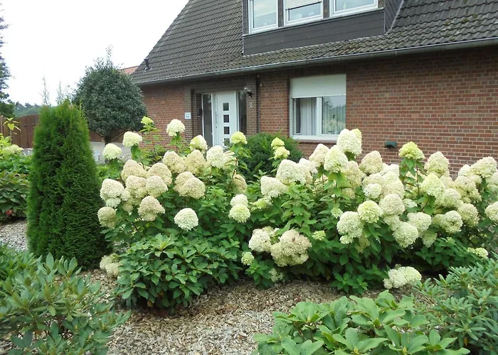 公寓 Kueper Getelo